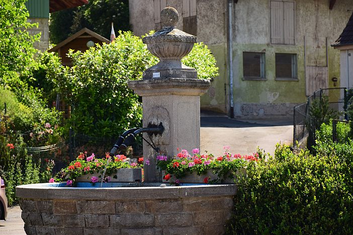 Blick auf den Brunnen in Queckbronn